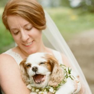 Meet your Posher, Meg